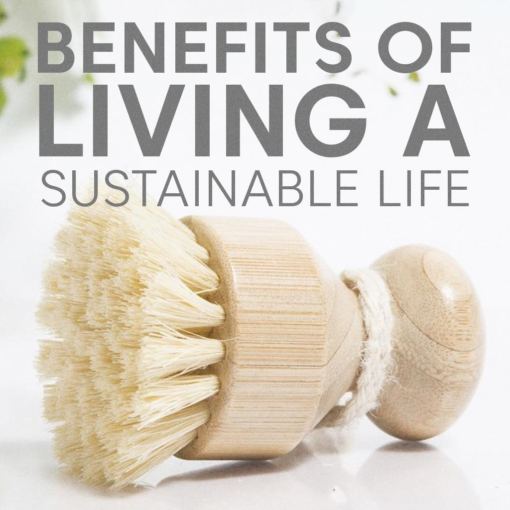 Changing your lifestyle can change the world