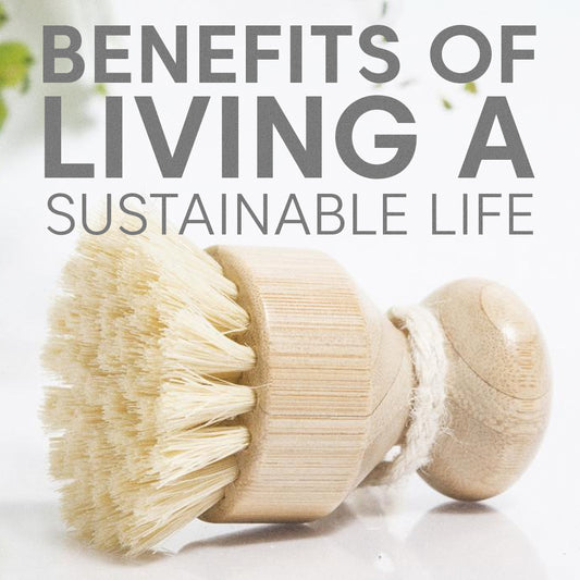 Changing your lifestyle can change the world